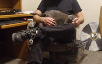 Photo of author, Dodge Merrin holding one of his cats.